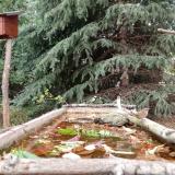 photo 2023-10-20 14-31-41