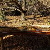 photo 2021-10-25 14-34-49