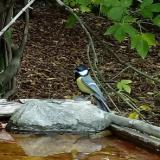 photo 2021-10-08 12-12-12 cinke