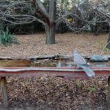 photo 2021-10-24 16-50-23