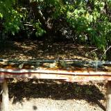 photo 2021-10-02 11-48-28