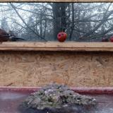 photo 2022-01-16 07-51-26