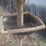 photo 2019-03-15 14-07-28