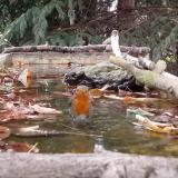 photo 2023-10-09 15-39-19