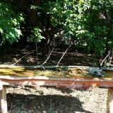 photo 2021-09-13 10-03-44