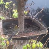 photo 2019-12-14 10-05-46