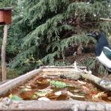 photo 2023-10-20 14-12-03