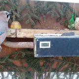 photo 2021-02-13 08-05-42