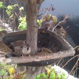 photo 2019-12-02 09-51-45