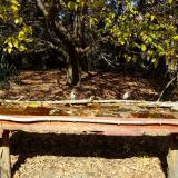 photo 2021-10-19 13-01-24