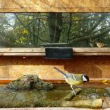 photo 2023-10-28 11-10-59