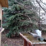 photo 2021-12-11 12-38-25