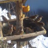 photo 2019-01-31 14-49-33