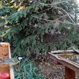 photo 2021-11-12 15-11-42