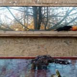 photo 2022-01-22 15-42-40