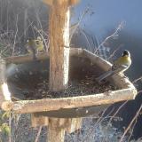 photo 2019-12-31 13-45-40