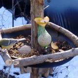 photo 2019-01-14 09-15-16