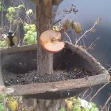 photo 2019-12-05 12-18-47