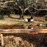 photo 2021-10-27 09-22-51