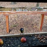 photo 2021-11-03 15-08-10