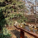 photo 2021-11-14 13-18-18