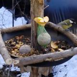 photo 2019-01-14 11-44-15