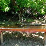 photo 2021-05-08 11-15-44