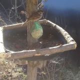 photo 2019-02-12 09-04-47