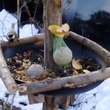 photo 2019-01-14 08-12-52