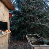 photo 2021-12-19 08-43-51