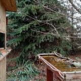 photo 2021-11-19 13-25-34