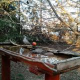 photo 2022-03-19 16-44-02