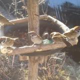 photo 2019-02-14 08-48-31