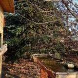 photo 2021-12-14 10-26-21