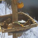 photo 2019-01-27 09-18-15