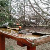 photo 2022-03-17 07-57-51