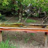 photo 2021-04-29 09-57-07