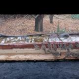 photo 2021-11-22 12-06-06