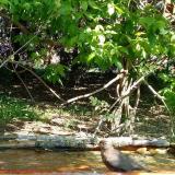 photo 2021-05-08 11-14-46 rigo