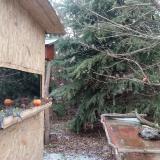 photo 2021-12-28 09-53-45