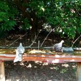 photo 2021-09-06 12-36-44