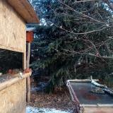 photo 2022-01-10 09-30-07