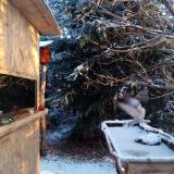 photo 2022-01-09 08-11-31