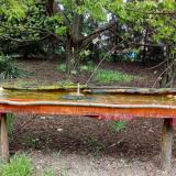 photo 2021-04-22 15-20-30