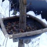 photo 2019-01-08 08-03-33