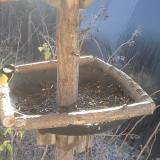 photo 2019-12-28 10-03-20