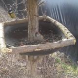 photo 2019-02-24 08-35-05