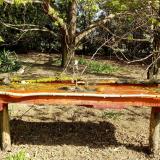 photo 2021-04-12 09-55-13