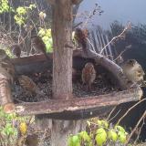 photo 2019-12-14 10-22-04