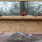 photo 2022-01-16 13-43-31